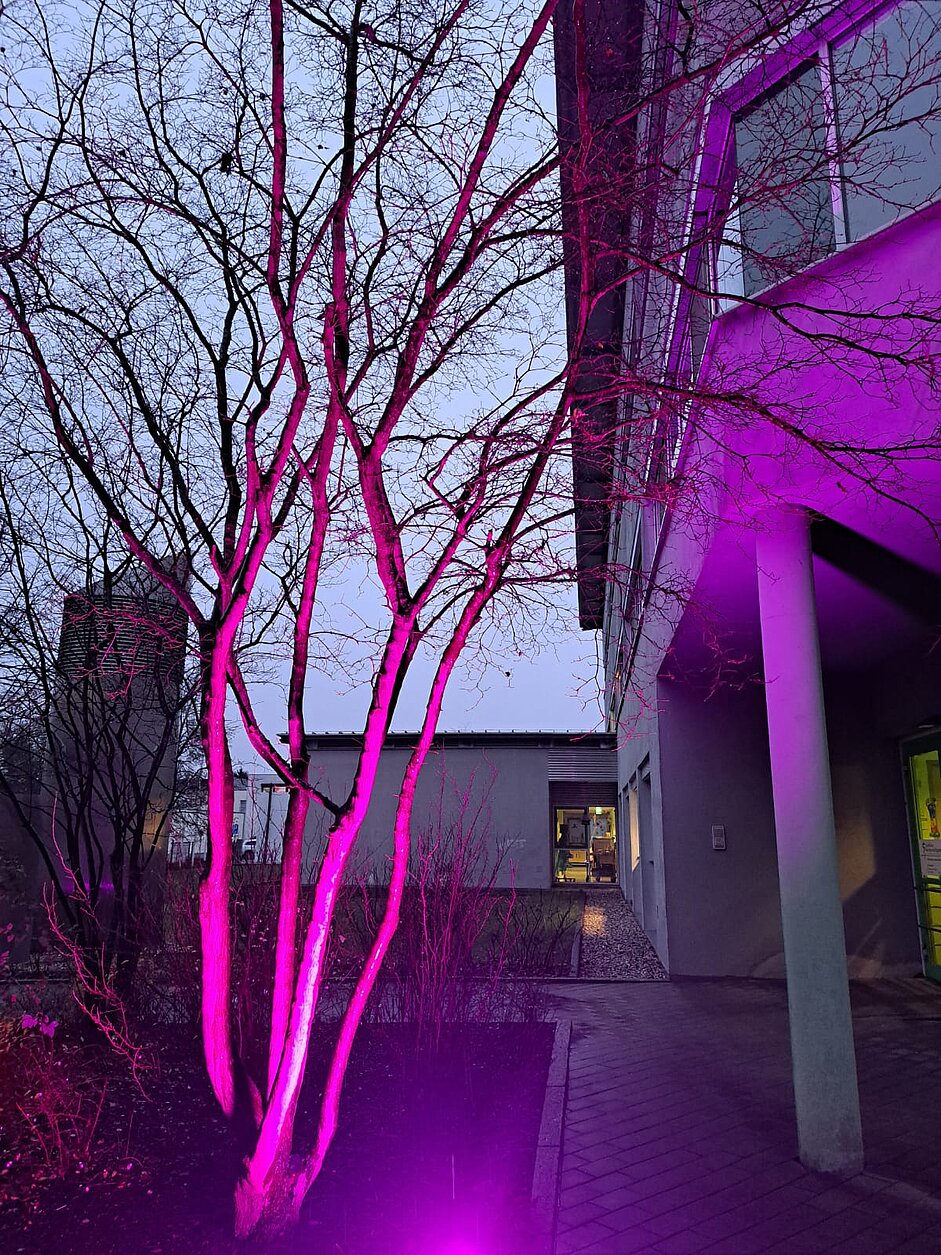 Der Klinikeingang leuchtete in purpur