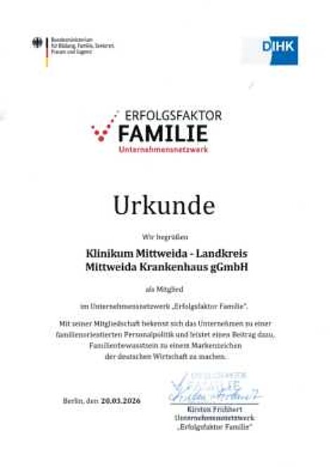 Erfolgsfaktor Familie