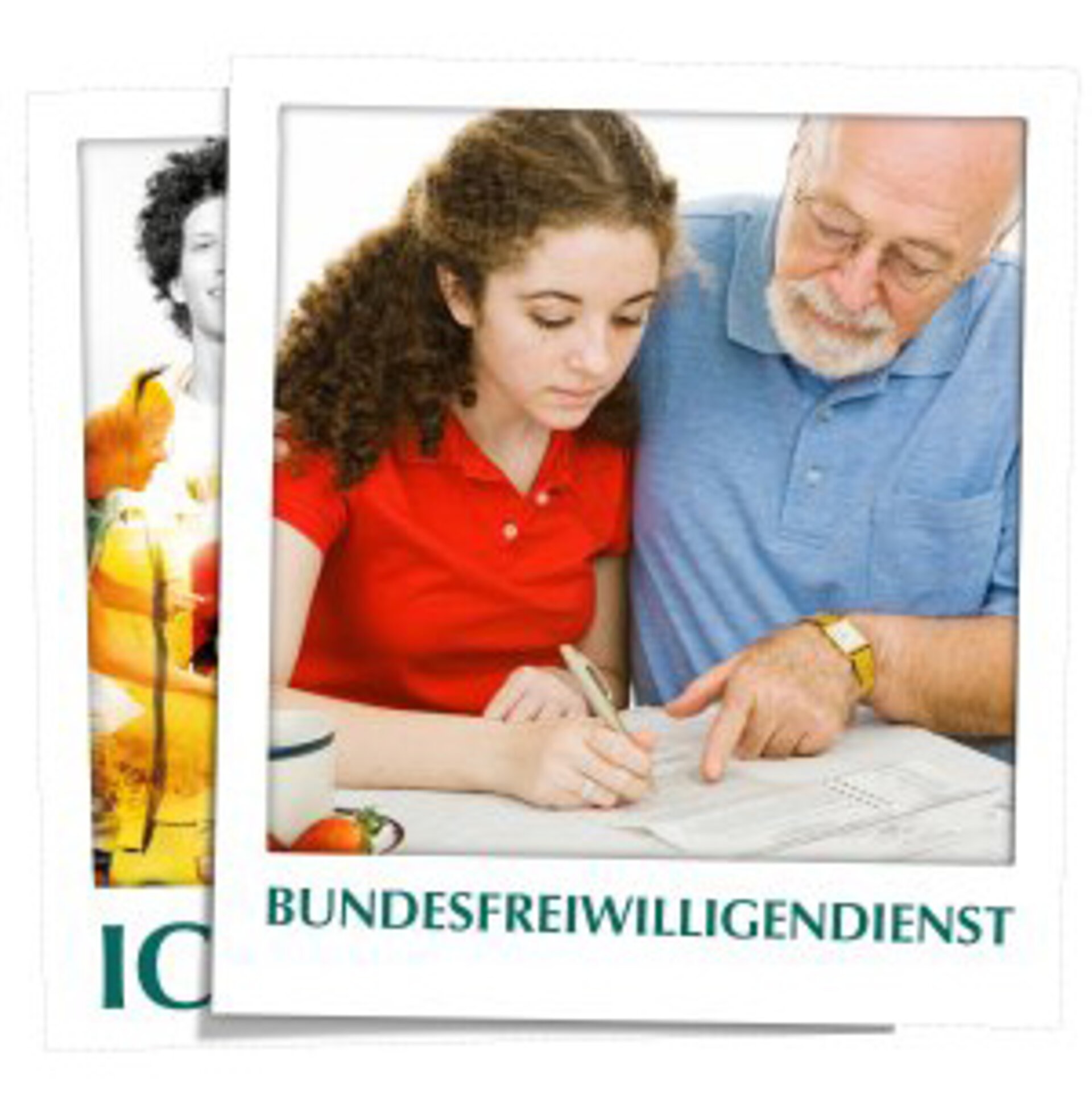 Bundesfreiwilligendienst